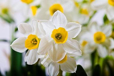 佛州黑人小伙效仿《GTA6》佛州小丑 发视频向R星要钱