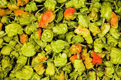 《逆转裁判123HD》6月9日从移动端下架 新移植版代替上架